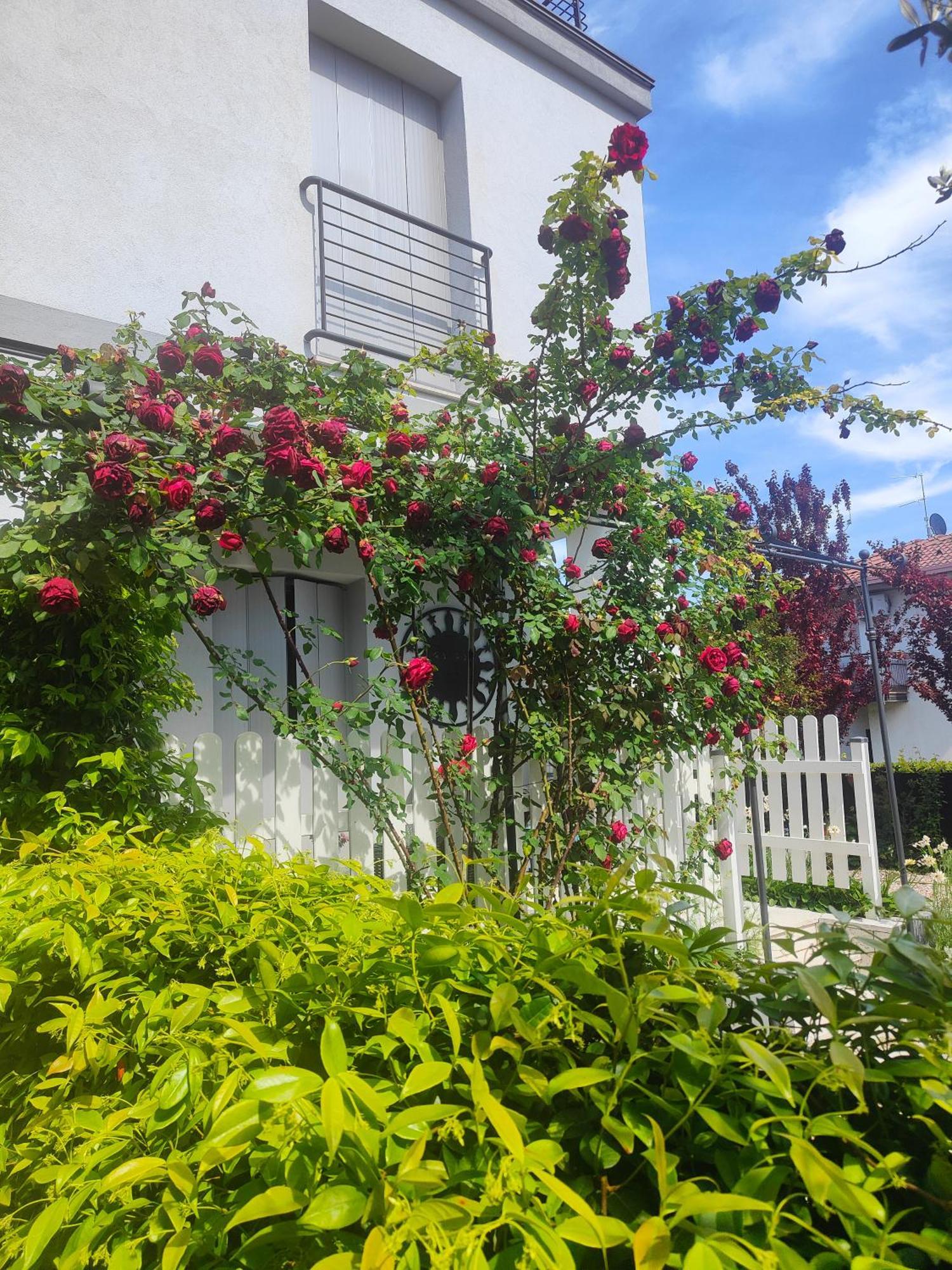 Villa Marianna Garda Lake Peschiera del Garda Dış mekan fotoğraf