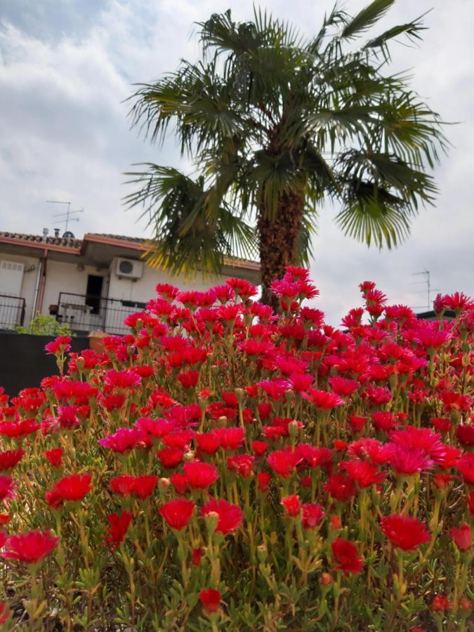 Villa Marianna Garda Lake Peschiera del Garda Oda fotoğraf